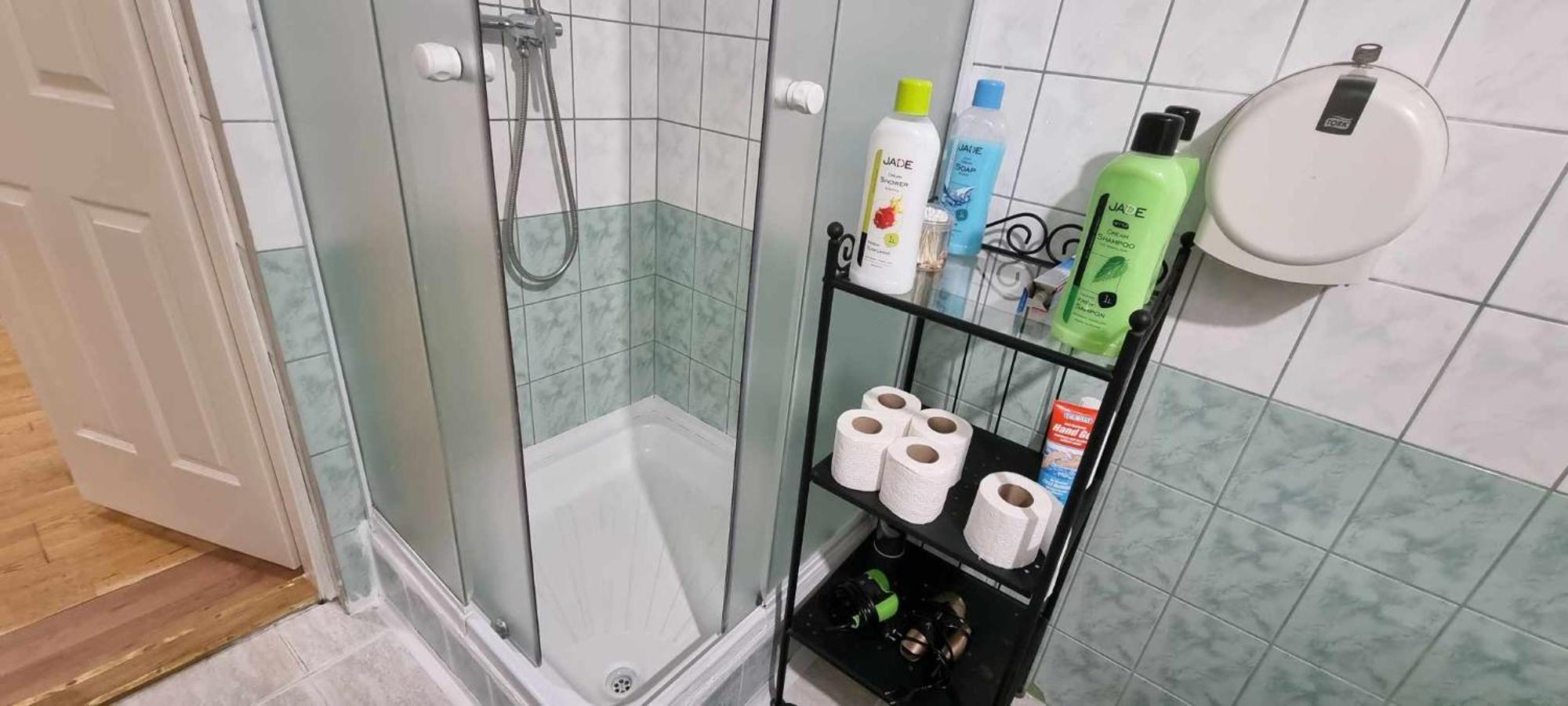 Privat bolig A & E Budapest